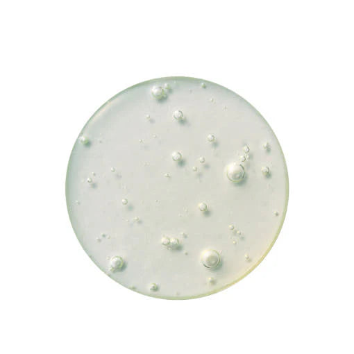 MOLVANY Arti-cica Refresh Calming Serum