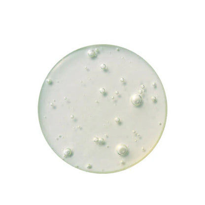 MOLVANY Arti-cica Refresh Calming Serum